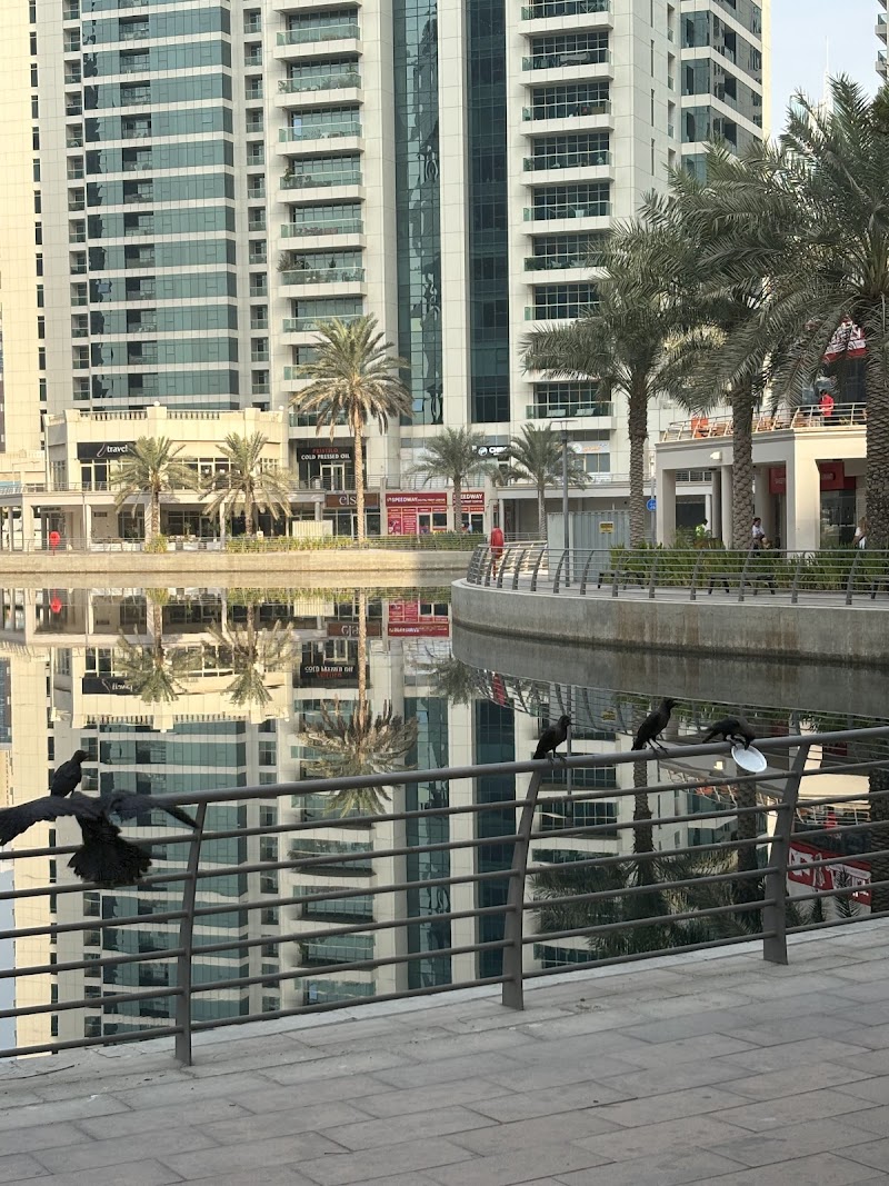 Jumeirah Lakes Towers Cluster X - dental clinic in Jumeirah Lakes Towers