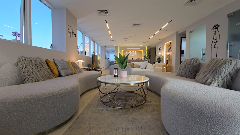 Opal Elite Clinic - dental clinic in الخليج التجاري