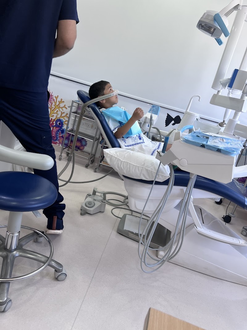 The Kids Dentist
